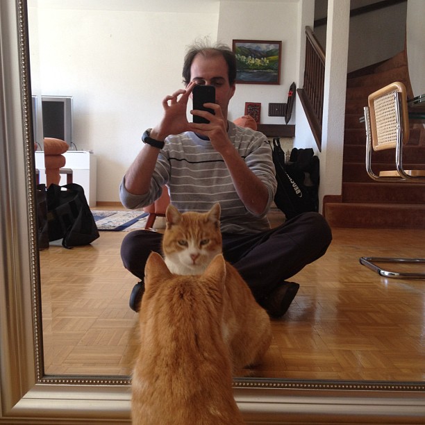 The cat and I