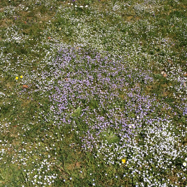 Springing into action