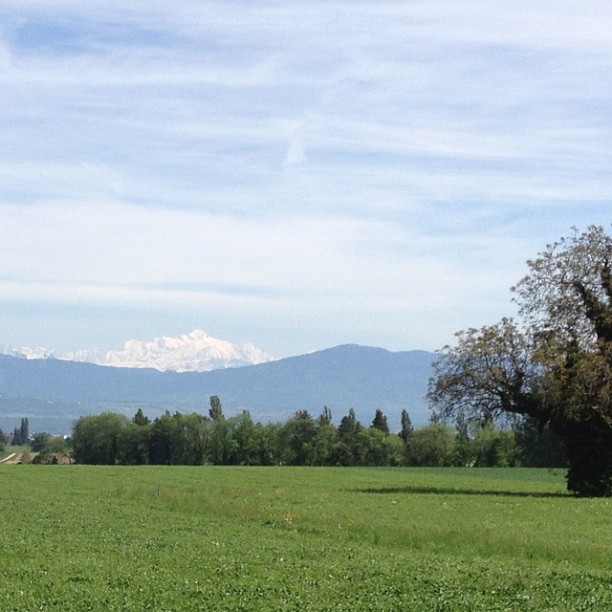 Spot the mt blanc