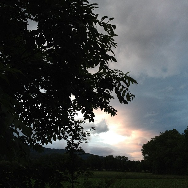 Dusk