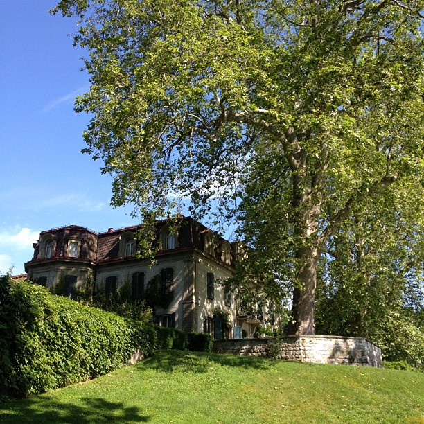 Walk in a park