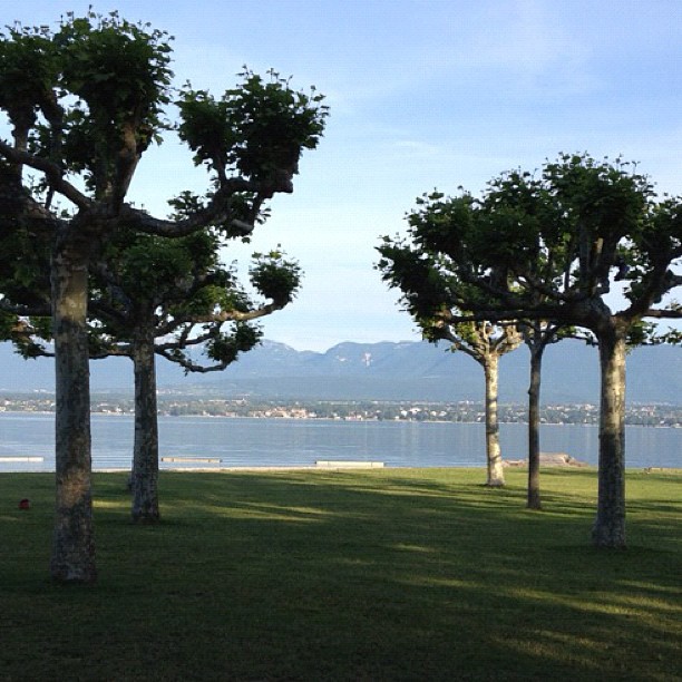 Walk to the dive