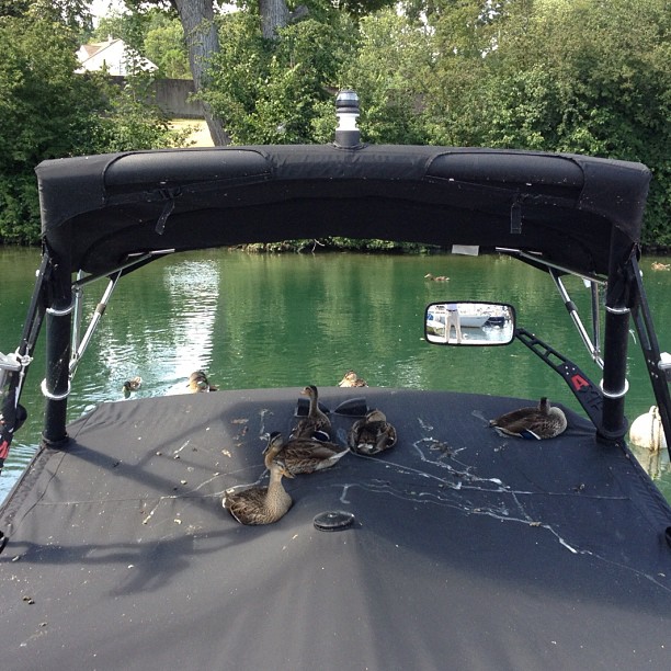 The duck boat.
