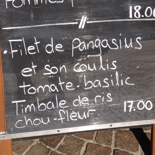 Look at what the fish is.