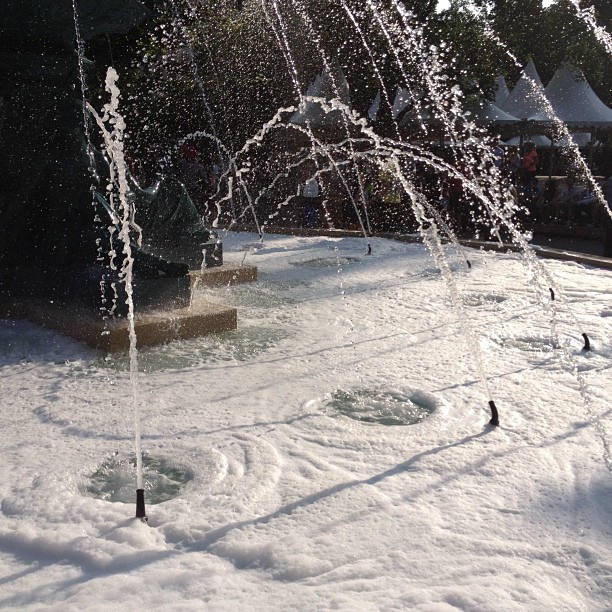 Foam
