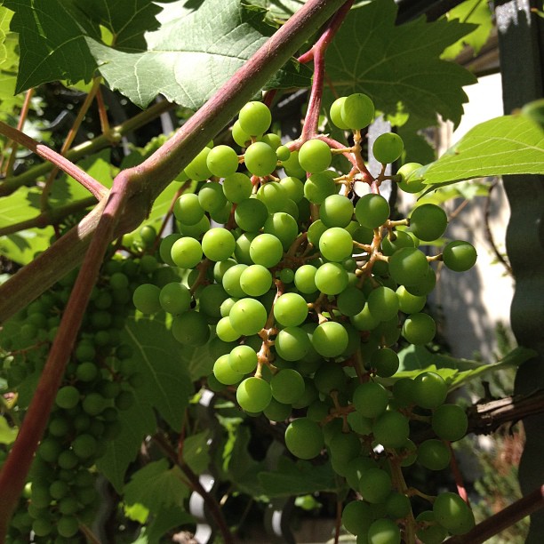 C'est en plein centre de la ville.