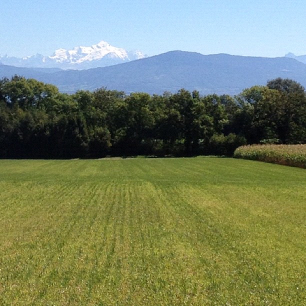 Mt blanc