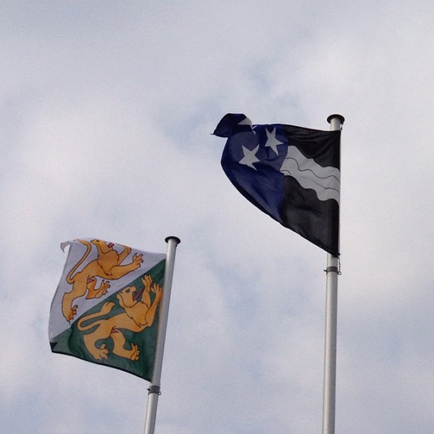 Flag waving