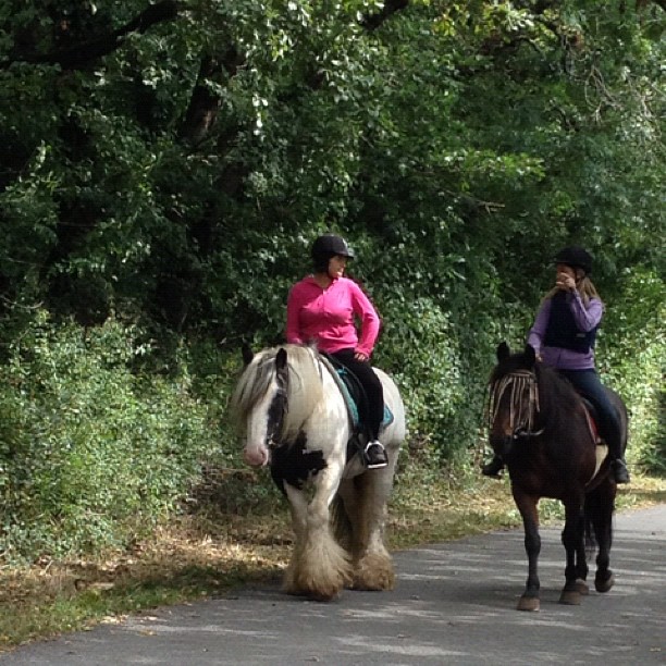 Rural life