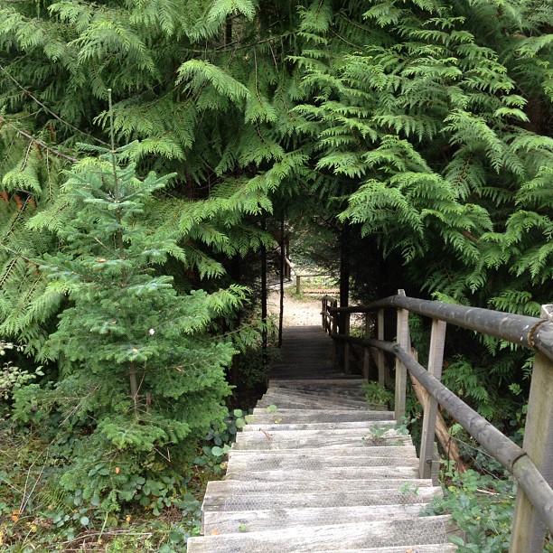 A path.