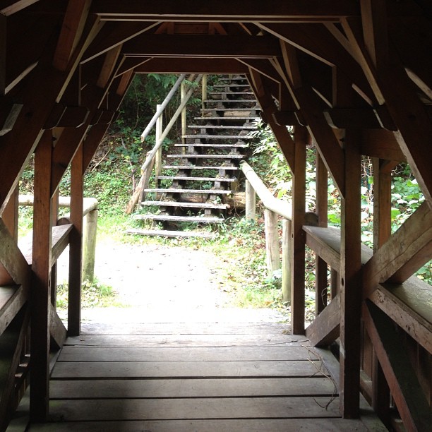 Wooden covered bridge.