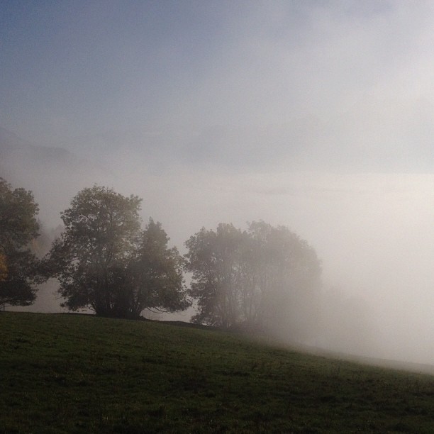 Fog