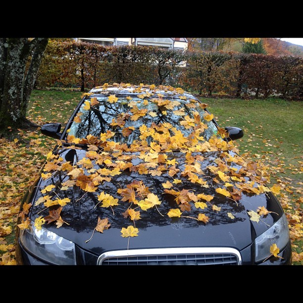 Stealth car.