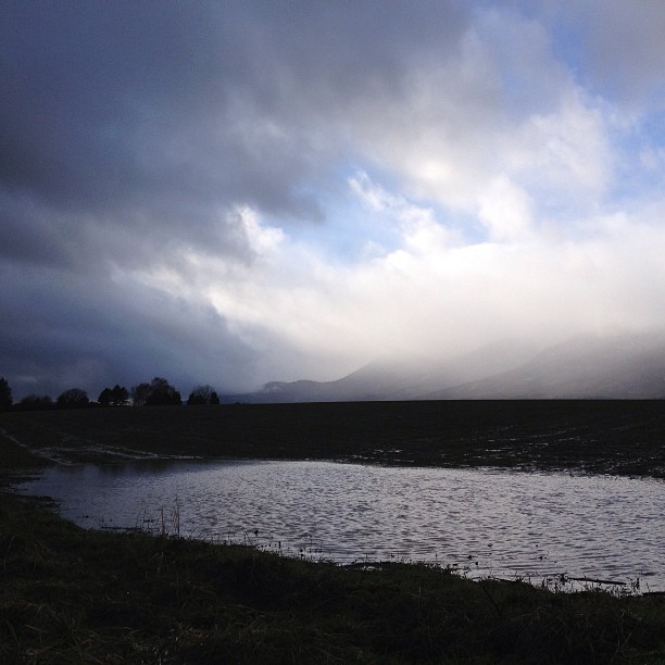 Flooded field