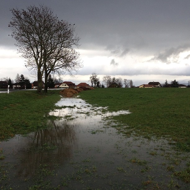 December, after the rain.