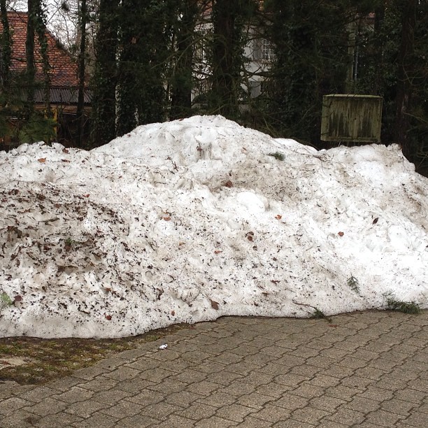 What remains of the nice snowfall we had a few weeks ago.