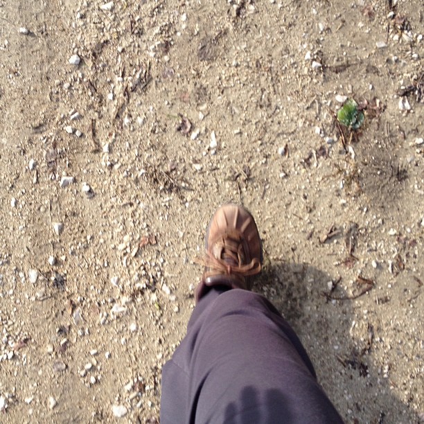 Walking in the countryside.