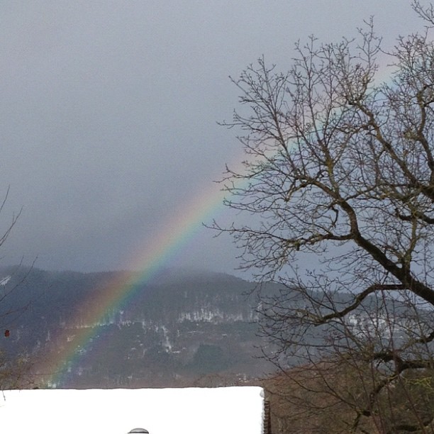 A snowbow. It's a rainbow with a snowy backdrop. It lasted a few seconds.