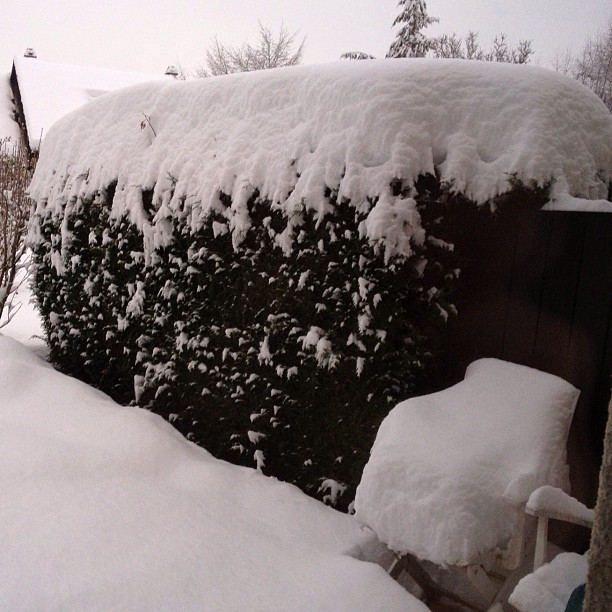 Real snow.