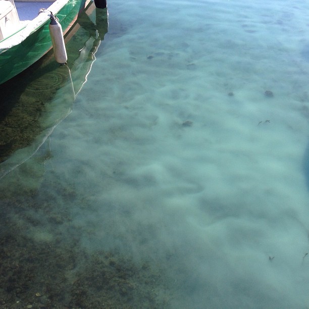 Nice underwater cloud.