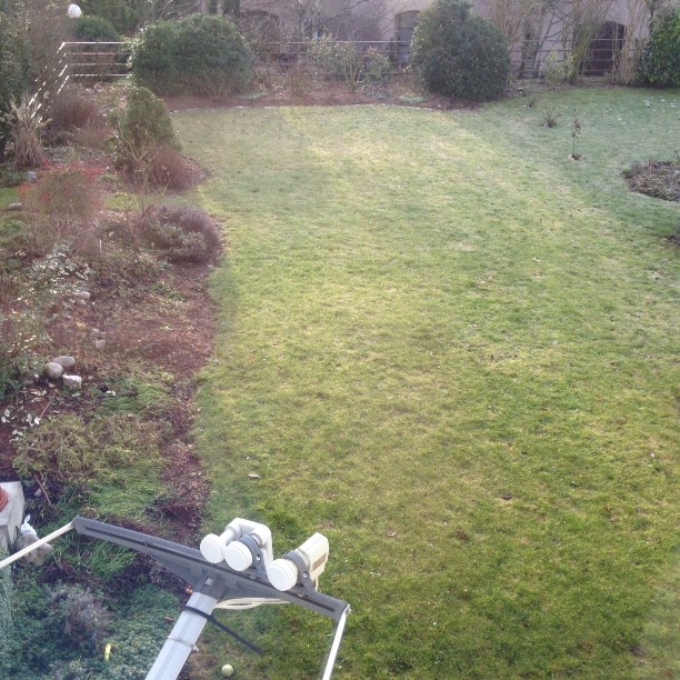 Spring? Looks like it.