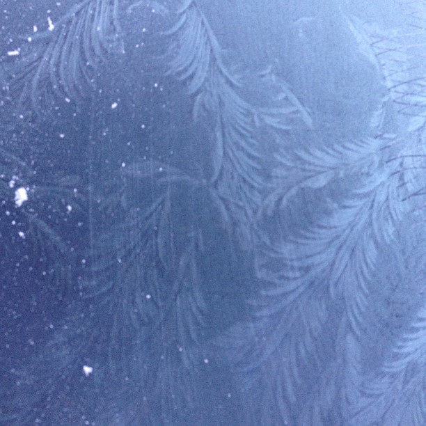 And more morning frost.