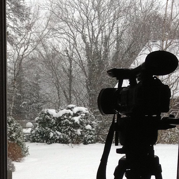 Time lapse experiment.