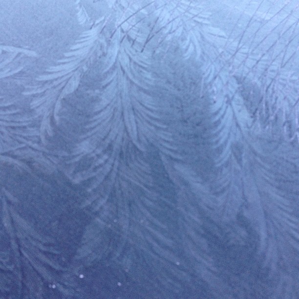 Morning frost