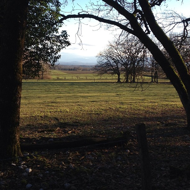 The countryside in winter.