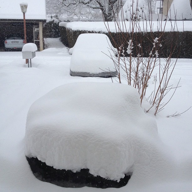 Lady snow is back. :-)