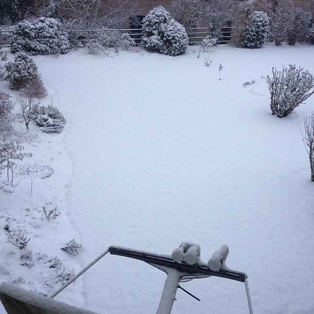 Snow is back.