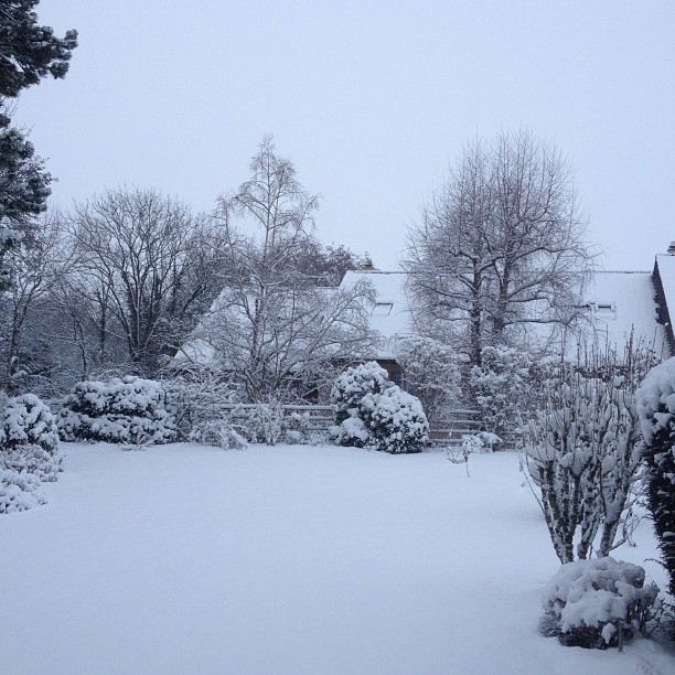 Snow is back.
