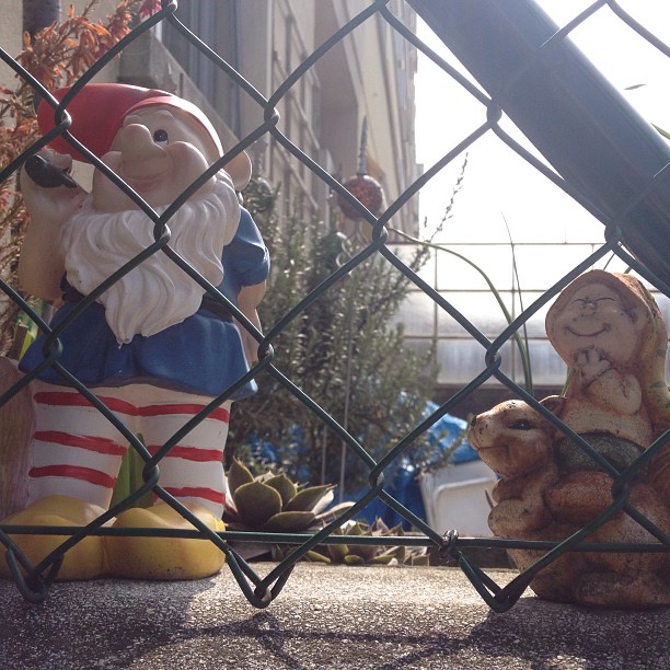 Gnomes happy to see the sun