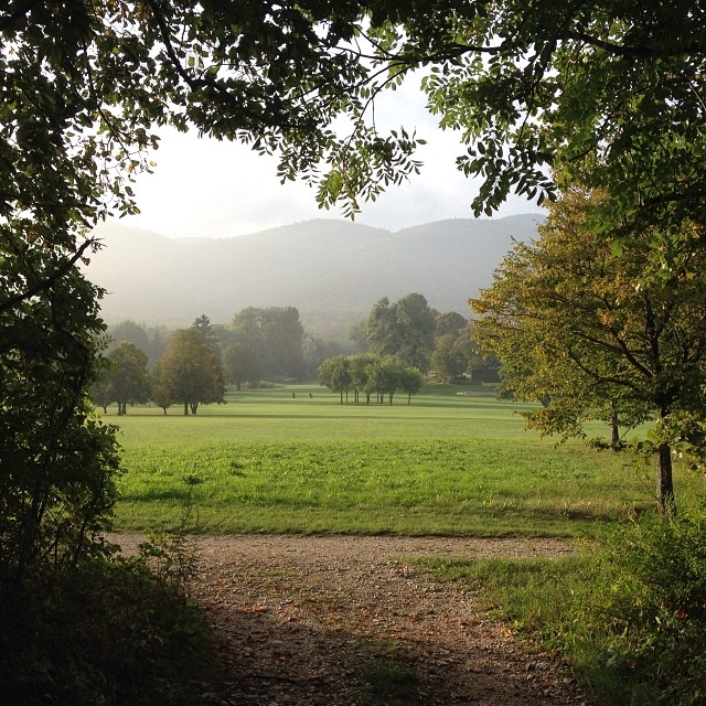 An autumn walk.