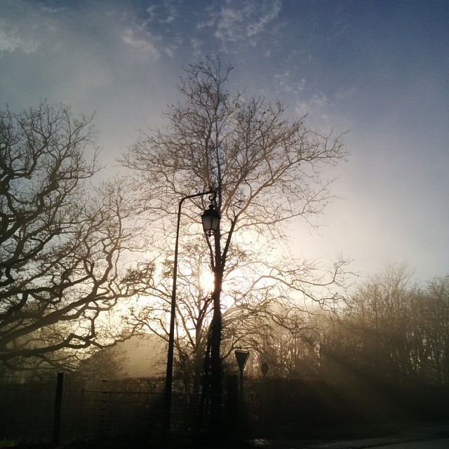 On the way back from the gym.