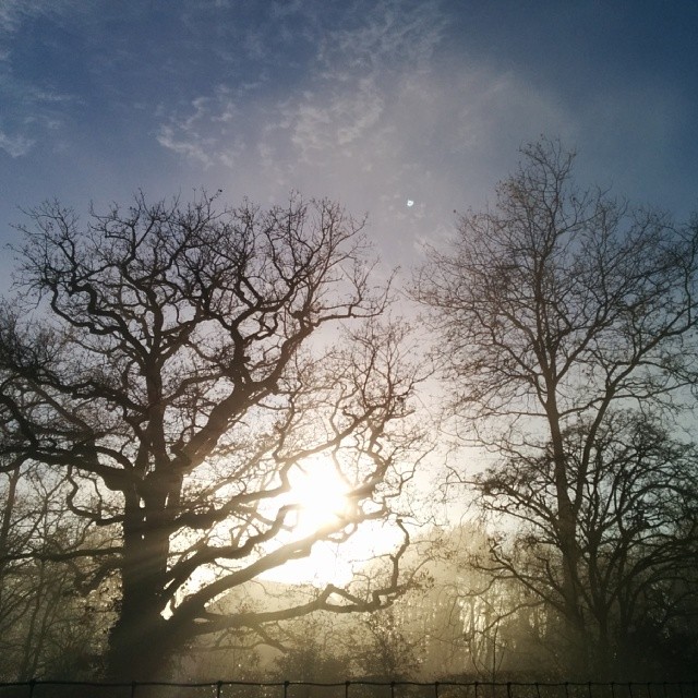 Afternoon fog burning off.