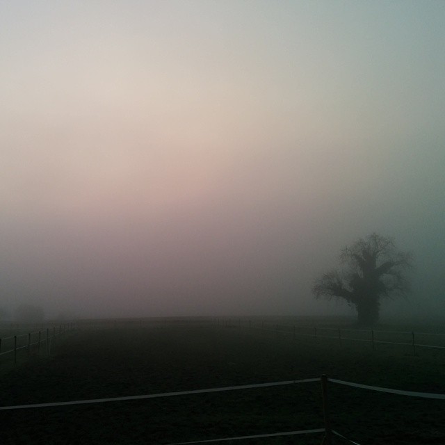 The camera is filming a time lapse. As it is foggy I look forward to it burning off on camera.