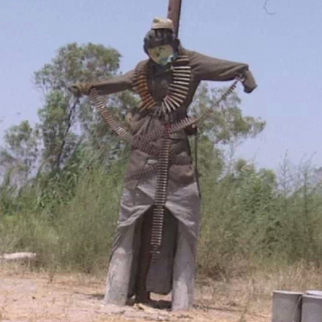 Most aggressive scarecrow I have seen.