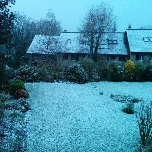 Go back to where you belong snow. You're very late. You're not welcome anymore.