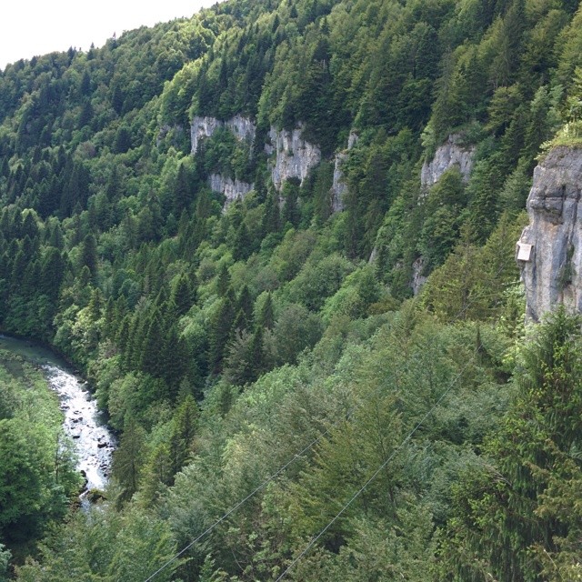 First Tyrolean