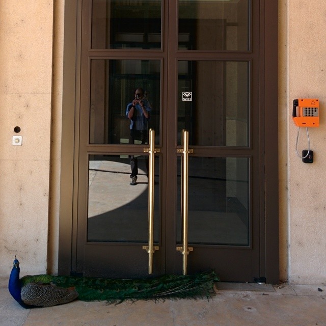UN security