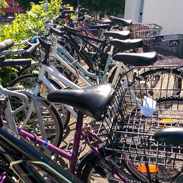UNHCR bikes.