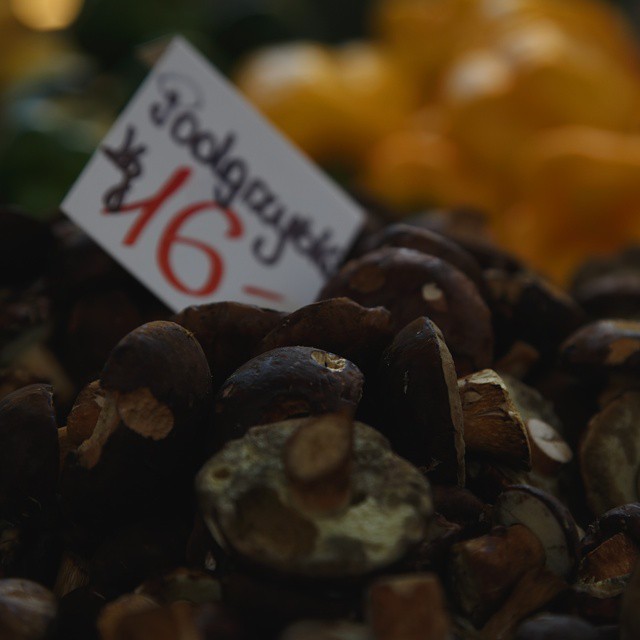 Polish mushrooms. I don't like mushrooms but you do.
