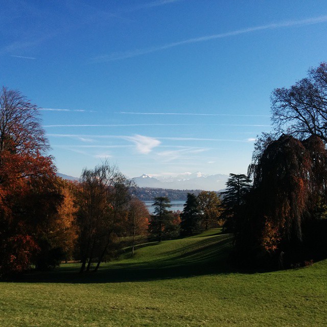 Lunch time walk