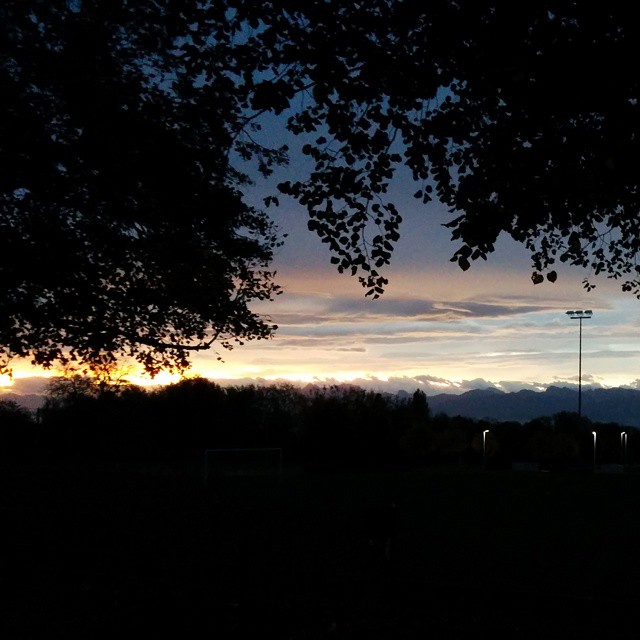 This morning