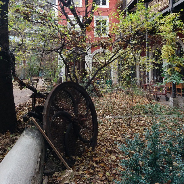 Geneva in autumn