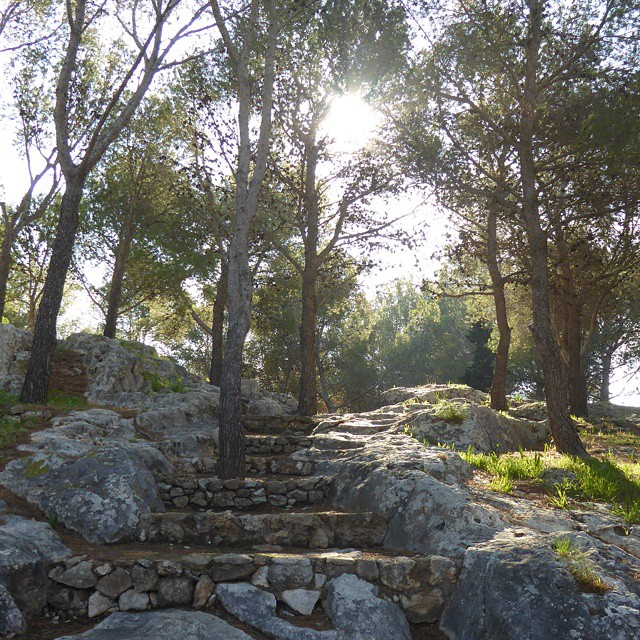 denia castle