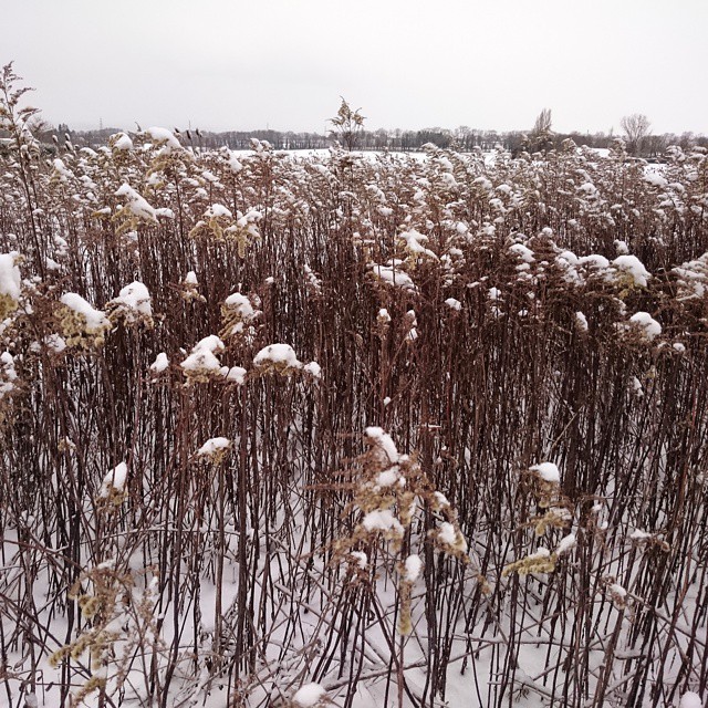 Different season
