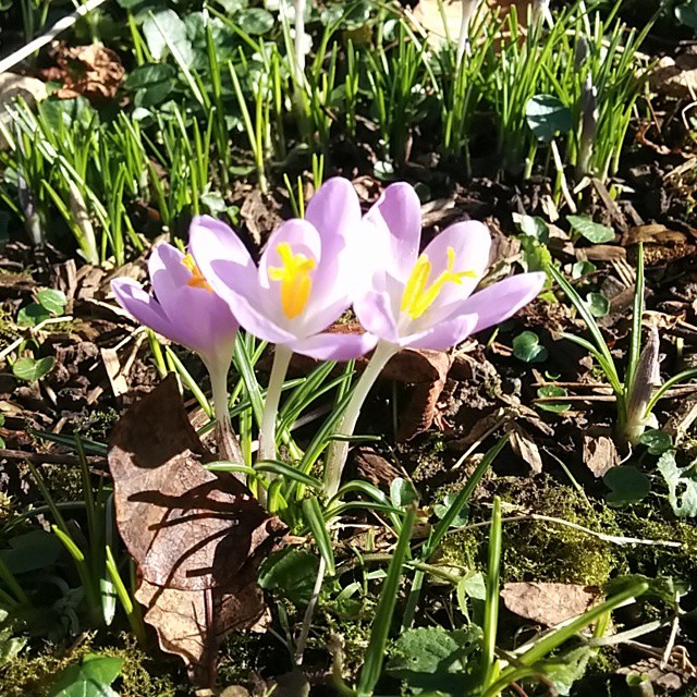 Spring has sprung.