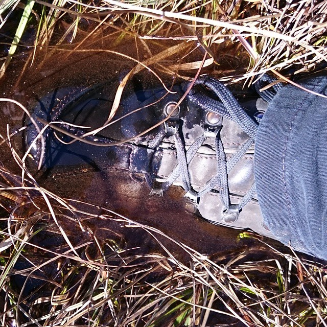 Walking in the mountains.